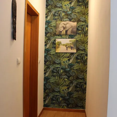 Stylish 1br In Gaia Near Porto, Sleeps 4 公寓
